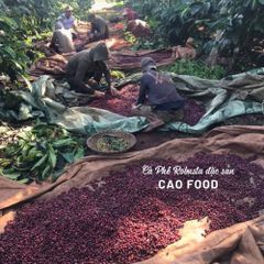 Cà phê Robusta Đaklak CAOFOOD 500g - Đặc sản chế biến ướt Tây Nguyên, hạt cà phê 100% chín, hương vị đậm đà, ngọt hậu tự nhiên