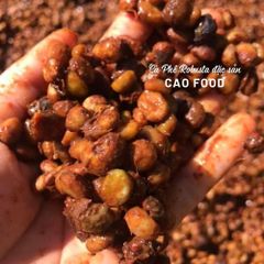 Cà phê Robusta Đaklak CAOFOOD 500g - Đặc sản chế biến ướt Tây Nguyên, hạt cà phê 100% chín, hương vị đậm đà, ngọt hậu tự nhiên