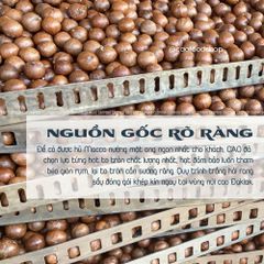 Hạt Macca Nướng Mật Ong CAOFOOD - Món Ăn Vặt Dinh Dưỡng Siêu Ngon, Giòn Rụm Ngọt Bùi, Quà Tặng Lý Tưởng cho Sức Khỏe