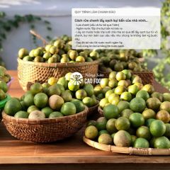 Chanh Đào Ngâm Mật Ong Đường Phèn CAOFOOD 1L - Giảm Ho, Tăng Cường Sức Đề Kháng, Thức Uống Dinh Dưỡng, Hương Vị Thơm Ngon, Nguyên Chất 100%