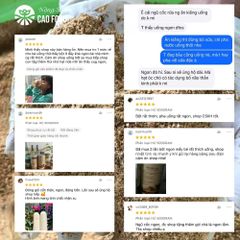 Bột Ngũ Cốc Dinh Dưỡng CAOFOOD - 11 Loại Hạt Tự Nhiên Đaklak, Không Chất Bảo Quản, Dễ Uống Cho Trẻ Em & Người Lớn
