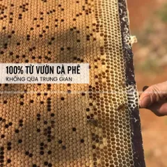 Mật Ong Hoa Cà Phê Đaklak 500ML - Nguyên Chất 100% Từ Vườn, Hương Vị Ngọt Thanh Tươi Mát, Phù Hợp Pha Nước Uống và Chế Biến Thực Phẩm