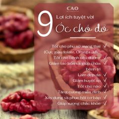 Hạt Óc Chó Đỏ CAOFOOD nhập khẩu Mỹ 500GR - Giàu Omega 3, Tốt Cho Mẹ Bầu và Phát Triển Trí Não Bé - 500g Hữu Cơ Tự Nhiên