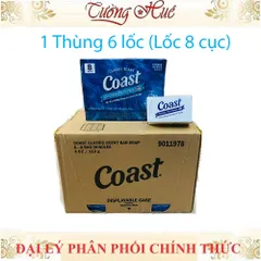 Thùng Xà Phòng Cục Coast Classic Scent 8 Cục - Xà Phòng Tiện Dụng, Khử Mùi, Dùng Siêu Tiết Kiệm, Xuất Xứ Mỹ