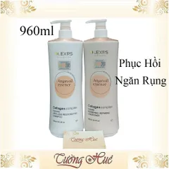Cặp Gội Xả Phục Hồi Ngăn Rụng Olexrs HairSalon Collagen Complex Shampoo & Conditioner (Cam) - 960ml (