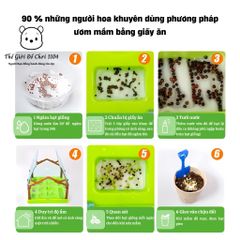 Bộ Đồ Chơi Trồng Cây Trong Nhà Kính Mini - Giáo Dục Khoa Học Cho Bé - Khám Phá Thiên Nhiên và Kỹ Năng Sống