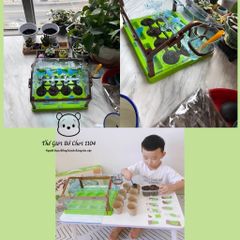 Bộ Đồ Chơi Trồng Cây Trong Nhà Kính Mini - Giáo Dục Khoa Học Cho Bé - Khám Phá Thiên Nhiên và Kỹ Năng Sống