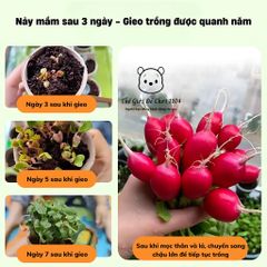 Bộ Đồ Chơi Trồng Cây Trong Nhà Kính Mini - Giáo Dục Khoa Học Cho Bé - Khám Phá Thiên Nhiên và Kỹ Năng Sống