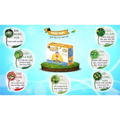 Siro Bibo Thanh Nhiệt Giải Độc Gan - Hỗ Trợ Giảm Dị Ứng, Mề Đay Cho Trẻ Em - Hộp 4 Vỉ 5 Ống