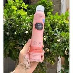 Dầu Gội Khô Hask Charcoal Chia Seed Biotin & Coconut 122ml - Thoáng Khô, Tươi Mới Cho Tóc Ngày Thứ Hai