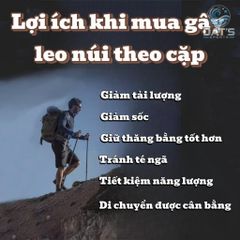 Gậy Trekking Nhôm Gấp Gọn - Gậy Leo Núi Chống Sốc Đầy Tiện Lợi Cho Chuyến Đi Bộ Đường Dài Và Hoạt Động Ngoài Trời