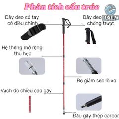 Gậy Trekking Nhôm Gấp Gọn - Gậy Leo Núi Chống Sốc Đầy Tiện Lợi Cho Chuyến Đi Bộ Đường Dài Và Hoạt Động Ngoài Trời