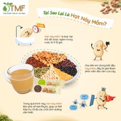 Bột Ngũ Cốc Tami Không Đường - Hỗ Trợ Giảm Cân Tâm Minh Foods, Thành Phần Thiên Nhiên, Dinh Dưỡng Cao, Pha Nhanh Gọn 25 Gói