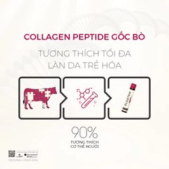 Hộp 28 ống Collagen Elasten Giúp Da Căng Mịn, Ngừa Lão Hóa, Tóc Chắc Khỏe