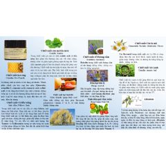 Kem Dưỡng Rau Má Lên Men Zymogen Centella Ferment Cream - Chống Lão Hóa, Tái Tạo Da, Ngừa Mụn, Mờ Thâm, Làm Dịu Da
