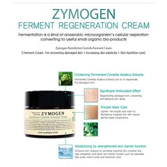 Kem Dưỡng Rau Má Lên Men Zymogen Centella Ferment Cream - Chống Lão Hóa, Tái Tạo Da, Ngừa Mụn, Mờ Thâm, Làm Dịu Da