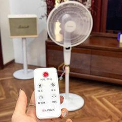 Quạt Cây 2Lock - Quạt DC Không Chổi Than Tiết Kiệm Điện, Điều Khiển Từ Xa, 9 Mức Gió Linh Hoạt, Siêu Êm Ái Cho Gia Đình