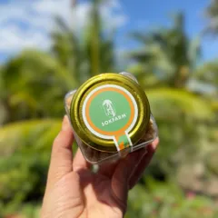 Đường Hoa Dừa Organic Sokfarm 150g - Đường Tự Nhiên Nguồn Gốc Từ Hoa Dừa, Thay Thế Đường Tinh Luyện, Thích Hợp Cho Món Ăn Healthy