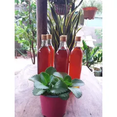 nước mắm nhỉ cá cơm nguyên chất truyền thống nhà làm loại ngon đặc biệt, an toàn, chất lượng 500ml