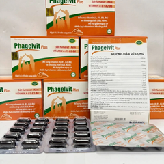 Viên Uống Vitamin Tổng Hợp Phagelvit Plus ROXTECH (60 Viên) - Tăng Cường Sức Khỏe và Đề Kháng Cho Cơ Thể