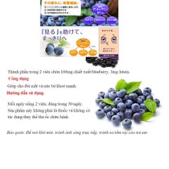 Viên uống bổ mắt việt quất NOGUCHI MEIJI BLUEBERRY & LUTEIN nội địa Nhật Bản 292612
