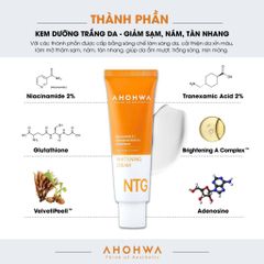 Kem Dưỡng Sáng Da NTG - Kem Trị Nám Tàn Nhang 50ml, Hỗ Trợ Làm Sáng Da, Cải Thiện Sắc Tố Da, Chất Chống Oxy Hóa Từ Hàn Quốc