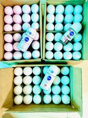 Lăn Khử Mùi Nữ Nivea 50ml - Khử Mùi Hiệu Quả, Trắng Mịn Da, Mùi Hương Dễ Chịu, Phù Hợp Mọi Loại Da