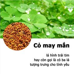 Hạt Giống Cây Thủy Sinh Trân Châu, Ngưu Mao Chiên, Cỏ Tình Yêu, Cỏ May Mắn - Gói 8-10g Cho Thảm Cây Xanh Mướt Trong Hồ Cá
