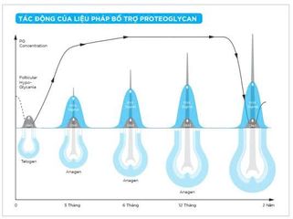Viên Uống Mọc Tóc Nourkrin Hair Growth+ In Clinic 90 Viên - Giải Pháp Hiệu Quả Chống Rụng Tóc, Tăng Mật Độ và Chất Lượng Tóc