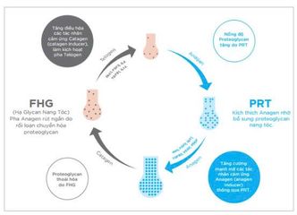 Viên Uống Mọc Tóc Nourkrin Hair Growth+ In Clinic 90 Viên - Giải Pháp Hiệu Quả Chống Rụng Tóc, Tăng Mật Độ và Chất Lượng Tóc