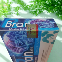 Viên uống Brain Alva - Hỗ trợ tăng cường tuần hoàn não, cải thiện trí nhớ, giảm đau đầu và hoa mắt, sản phẩm từ thiên nhiên.