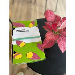 Khoai Lang Nhật Xuất Khẩu Size M 3kg - Ruột Vàng Dẻo Ngọt, Giàu Chất Xơ Và Vitamin, Thực Phẩm Lành Mạnh Cho Sức Khỏe