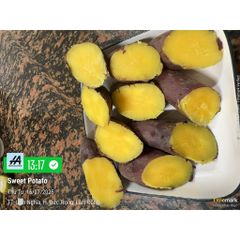 Khoai Lang Nhật Xuất Khẩu Size M 3kg - Ruột Vàng Dẻo Ngọt, Giàu Chất Xơ Và Vitamin, Thực Phẩm Lành Mạnh Cho Sức Khỏe