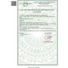 Viên uống bổ não Cerecoline Plus+ - Hỗ trợ nâng cao trí nhớ và bảo vệ sức khỏe não bộ - Hộp 30 viên