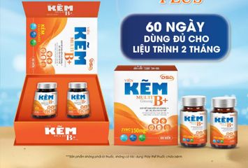 Kẽm DSD Multi B+ Gingseng Hộp 60 Viên - Bổ Sung Vitamin và Khoáng Chất Hỗ Trợ Sức Khỏe Nam Giới, Duy Trì Tóc Móng Da Khỏe