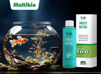 Chai Khử Clo Multi Detox Ver.2 100ml - Giải Pháp Khử Độc, Giảm Stress Cho Hồ Cá - Multibio Lab