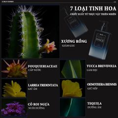 Dầu Xả Nam Blueman 210g - Phục Hồi Tóc Chắc Khỏe, Dưỡng Ẩm, Bảo Vệ Tóc Khỏi Tác Hại Môi Trường - Hudu Cosmetics