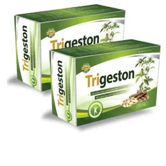 Viên uống tiêu trĩ Trigeston - Hỗ trợ thanh nhiệt, nhuận tràng, giảm táo bón, cải thiện triệu chứng trĩ - Hộp 30 viên