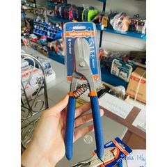 Kéo Cắt Thiếc 10