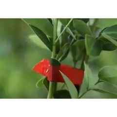 Dụng Cụ Quấn Buộc Nhánh Cây TOTAL THTPTM1251 - Bộ Dụng Cụ Tiện Ích Cho Cành Cây Với 1 Cuộn Băng Và 200 Gim Bấm
