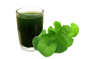 Bột Rau Má Sấy Lạnh 50gr - Detox Tự Nhiên, Giảm Cân Hiệu Quả, Thanh Nhiệt Cơ Thể, Tiện Lợi Cho Người Bận Rộn
