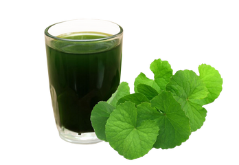 Bột Rau Má Sấy Lạnh 50 Gói x 2gr - Detox, Giảm Cân Tự Nhiên, Thanh Nhiệt - Thực Phẩm Lành Mạnh Cho Người Bận Rộn