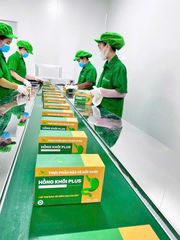 Dạ Dày Hồng Khôi Thanh Mộc Hương 100gr - Giải Pháp Hỗ Trợ Tiêu Hóa Tự Nhiên, Chính Hãng Chất Lượng Cao