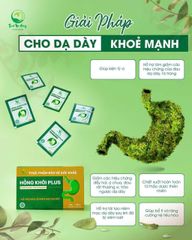 Dạ Dày Hồng Khôi Thanh Mộc Hương 100gr - Giải Pháp Hỗ Trợ Tiêu Hóa Tự Nhiên, Chính Hãng Chất Lượng Cao