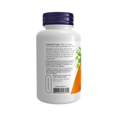 Viên Uống Astragalus NOW Hoàng Kỳ - Hỗ Trợ Miễn Dịch, Tăng Cường Đề Kháng, 100 Viên - Thực Phẩm Chức Năng Nhập Mỹ