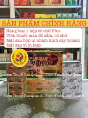 Thuốc Bổ Xương Khớp Tọa Cốt Thần Kinh Cốt Thích Hoàn - Hỗ Trợ Giảm Đau Lưng, Thoái Hóa Cột Sống, Hộp 20 Viên Chính Hãng Malaysia