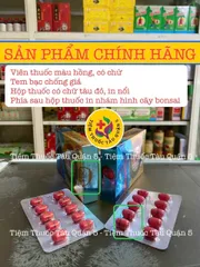Viên uống THOÁI CỐT HOÀN - Giảm đau cột sống, hỗ trợ viêm khớp từ thảo dược tự nhiên - Hộp 20 viên