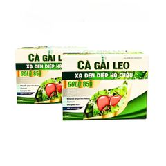 Viên uống Cà Gai Leo Xạ Đen Diệp Hạ Châu Gold 850 - Hỗ trợ giải độc gan và bảo vệ sức khỏe gan - Hộp 60 viên chất lượng cao
