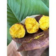 Khoai Lang Nhật Xuất Khẩu Size S (70-150g/củ) - Ngọt Dẻo Tự Nhiên, Chất Lượng Cao, Đóng 3kg/Thùng, Lựa Chọn Tốt Cho Gia Đình và Xuất Khẩu