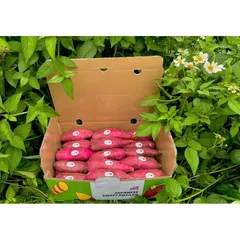 Khoai Lang Nhật Xuất Khẩu Size S (70-150g/củ) - Ngọt Dẻo Tự Nhiên, Chất Lượng Cao, Đóng 3kg/Thùng, Lựa Chọn Tốt Cho Gia Đình và Xuất Khẩu